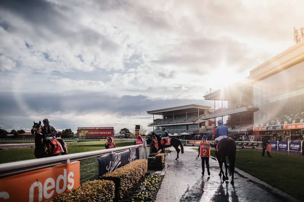 Melbourne Racing on Twenty Dollars and a Train Ticket