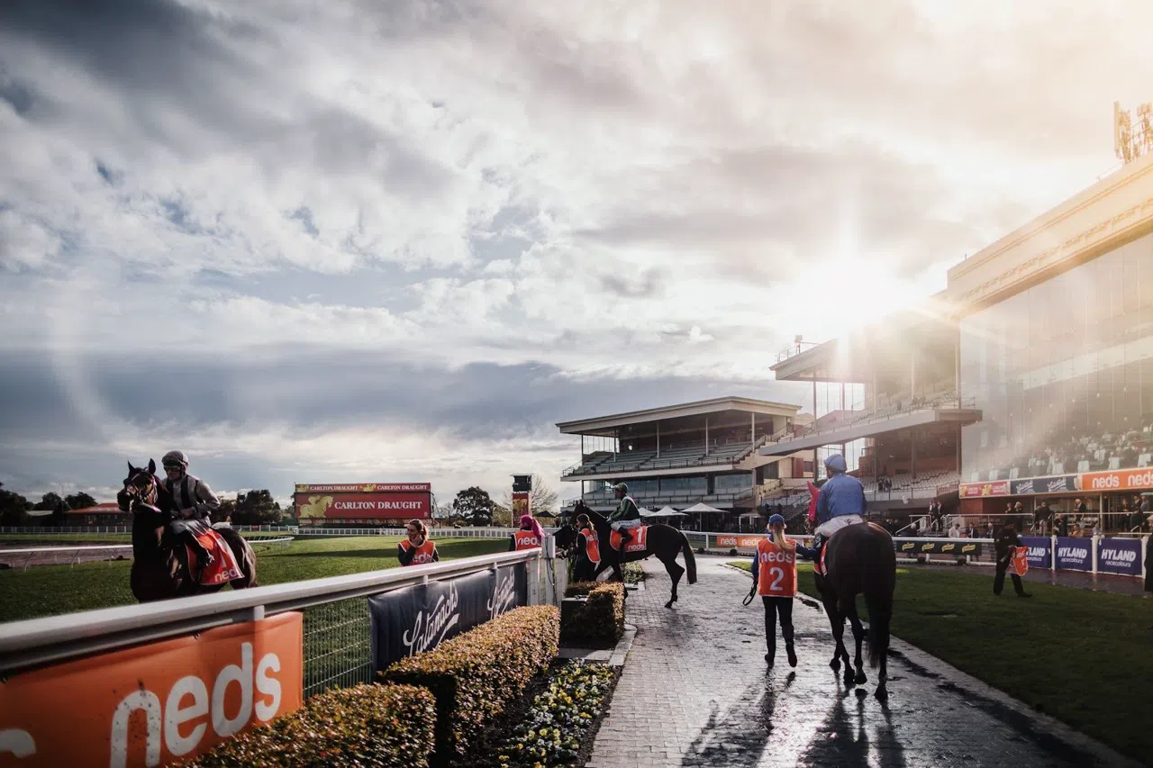 Melbourne Racing for Tyve Dollars og en Togbillet