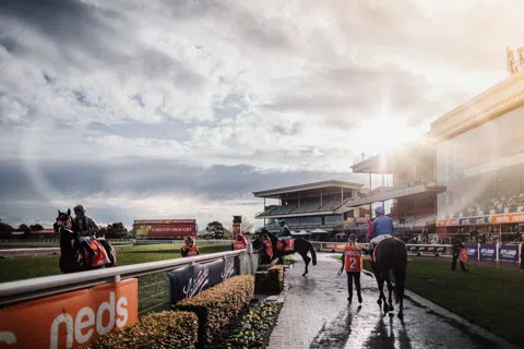 Melbourne Racing on Twenty Dollars and a Train Ticket