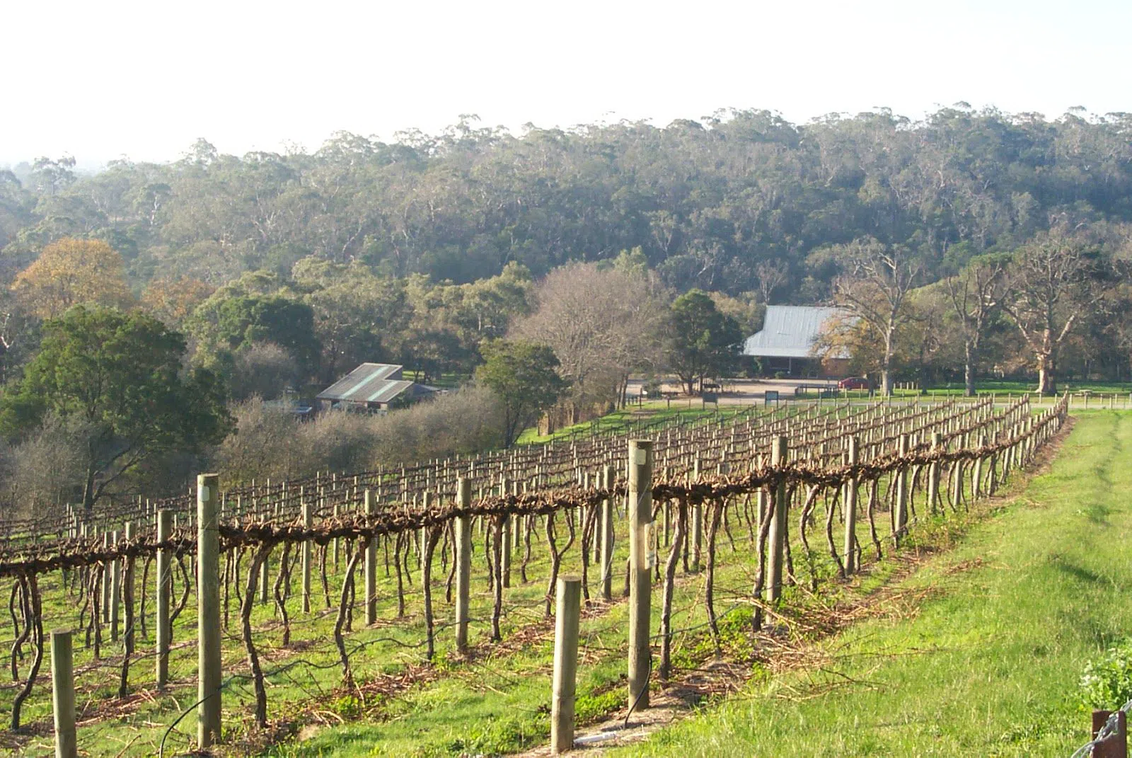 The Briars, Melbourne