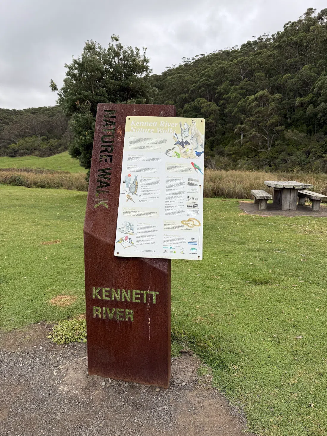 Kennett River Koala Walk, Melbourne