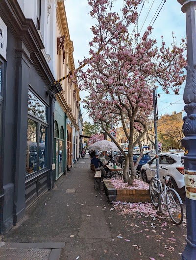 Fitzroy