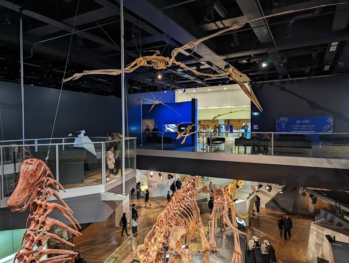 Melbourne Museum, Melbourne