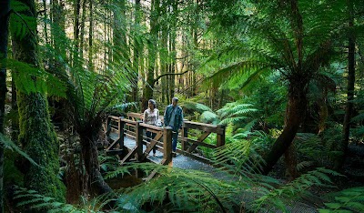 The Yarra Valley